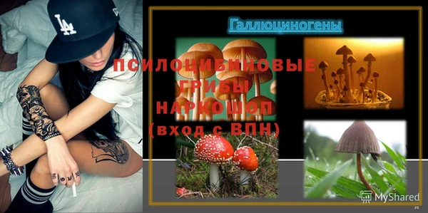 спайс Арсеньев
