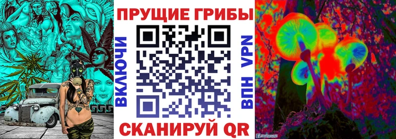 где можно купить   Лянтор  Галлюциногенные грибы MAGIC MUSHROOMS 